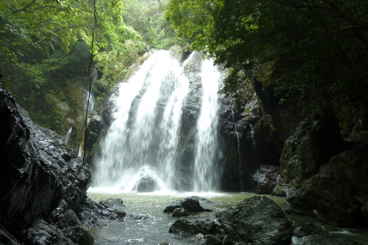 徳之島　大瀬川の滝