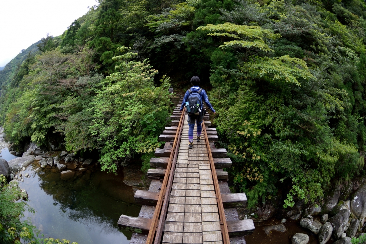 屋久島トロッコ軌道